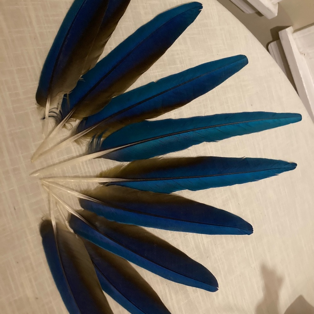 Symmetrical Blue Feather Art Decor